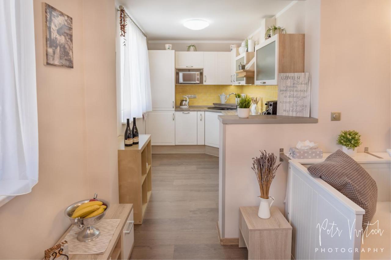 Apartman Na Lipne Frymburk Eksteriør billede